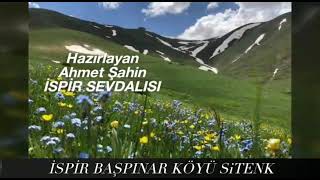 Erzurum ispir başpınar köyü