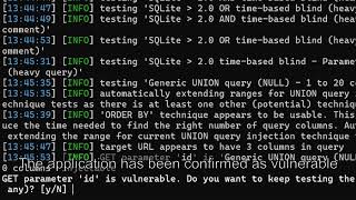 Simple SQLmap demo for detecting sql injections in your app.