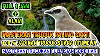 Download Lagu Masteran Trucukan 1 jam Full Isian + Alam Paling Sakti, Jadikan Trucuk Istimewa MP3 Download Lagu Masteran Trucukan 1 jam Full Isian + Alam Paling Sakti, Jadikan Trucuk Istimewa MP3