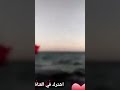 يديها زعيم ولا مرضي الوالدين 