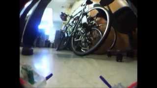 On board camera on a cockroach type robot (STAR robot, UC Berkeley)