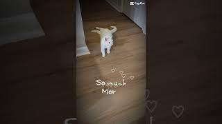 We Are More Than You Know