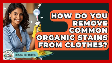 How Do You Remove Common Organic Stains From Clothes? - Homekeeping Handbook