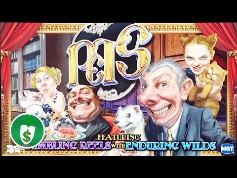 Pets slot machine, bonus