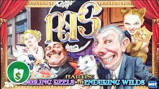 Pets slot machine, bonus