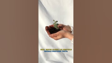 POV: You finally understand the secret to lasting 😱