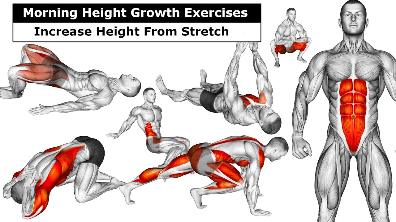 Taller Strech Routine Grow Taller Naturally | Full Body Stretching Routine at Home - YouTube