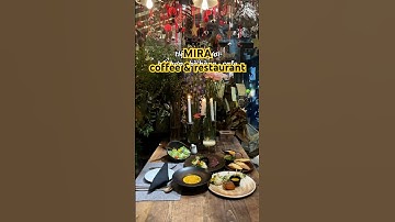 Khu vườn cổ tích giữa lòng Hà Nội #diadiemhenho #datingideas #miracoffee #changthichdichoi #hanoi