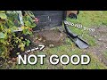 How to fix water pooling next to the house after ground work