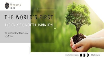 Best Memorial Tree For Funeral | Plant A Tree In Memory