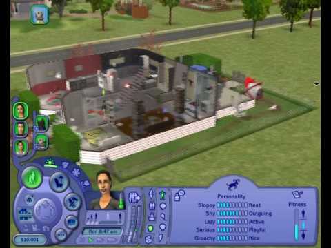 0642 sims 2 pets, the nds rom free download.