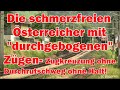 Die schmerzfreien Österreicher! "Durchgebogene" Züge: Zugkreuzung ohne Durchrutschweg+ ohne Halt!