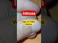 INTRUSA...VEJA NO VÍDEO ABAIXO!