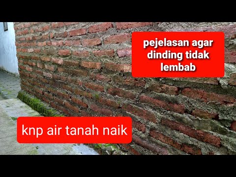 CARA AGAR TEMBOK TIDAK LEMBAB DAN BERLUMUT,INI PENJELASANYA