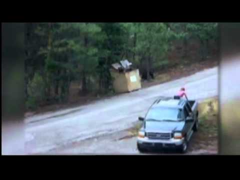 Video: Ruidoso Nyu-Meksiko Bear Cubs Dumpsterdan Qutqarildi - Bear Cub Rescue