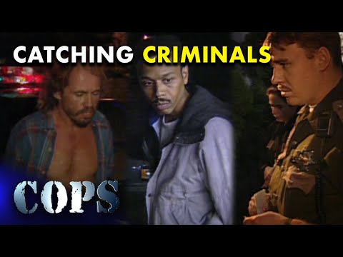 🔴 Police Respond to Chaos: Domestic Disputes \u0026 Car Chases | FULL EPISODES | Cops TV Show