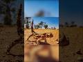 تخيل ان الصور دي حقيقية جـ 4 تخيل ان الصور دي حقيقية جـ 4