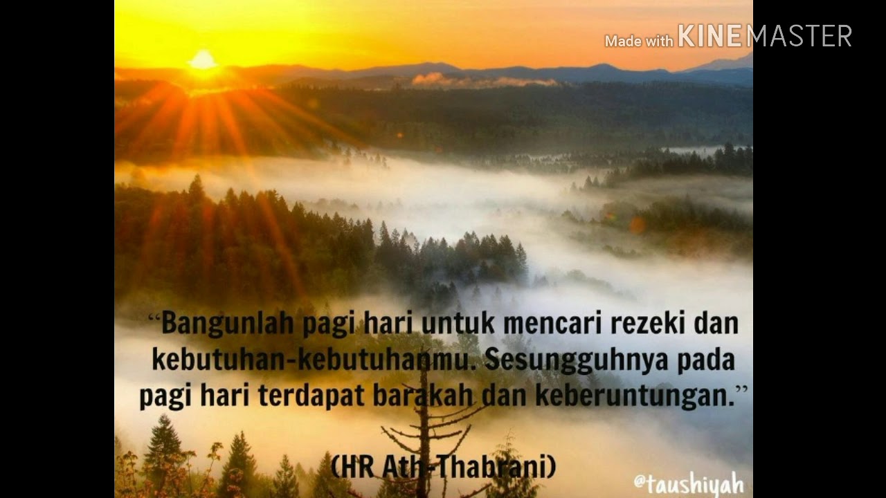 Quotes pagi hari - YouTube