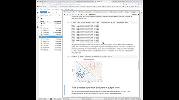 Section 8: Notebook - binary classification (Fundamentals of Deep Learning)