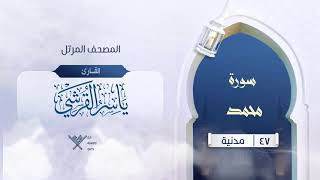 سورة محمد {{47}} القارئ ياسر القرشي