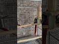 Scarlet Macaws own their own house!