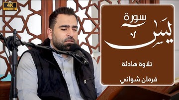 فرمان شواني تلاوة هادئة | سورة يس كاملة | Surah Yasin Full | Farman Shwani | 4K ULTRA HD