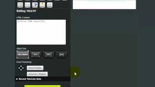 HTML Widget for Fan Page Engine 4.0 Demo