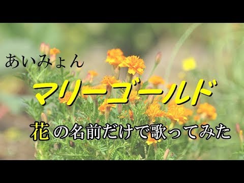 【替え歌】『マリーゴールド』を花の名前だけで歌ってみた