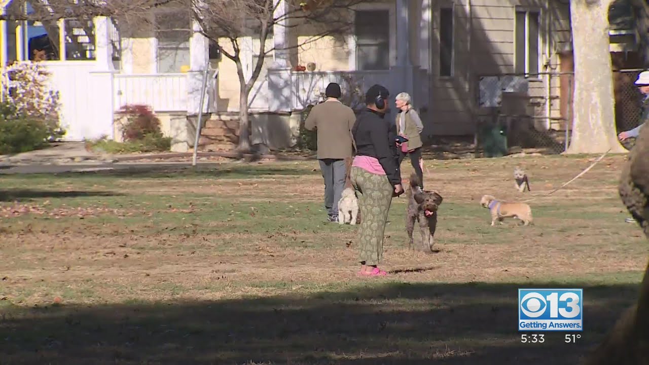 City looking to crack down on unofficial dog park in Curtis Park