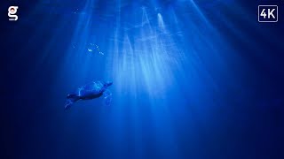Deep Sleep Music - Sleep, Meditation, Calm Music, Relaxing Music, Fall Asleep.! | Galatta Wav | 4K screenshot 3