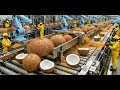 Inside a Modern Coconut Processing Factory: How Coconuts Become Fresh Milk (Full Process)