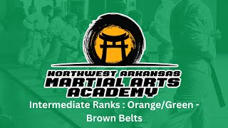 Orange / Green - Brown Belt Testing Curriculum