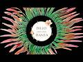Show Garden - DILLO CON UNA PIANTA