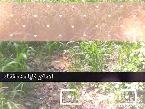 قرية الغويل عام 2019