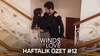 Winds of Love Weekly Summary #12 | Rüzgarlı Tepe Haftalık Kolaj #12