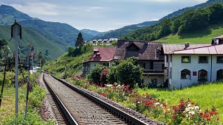 Cab Ride - Kleine Scheidegg to Lauterbrunnen, Switzerland | Train Driver View | 4K 60fps HDR