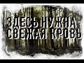 Страшные истории на ночь - Здесь нужна свежая кровь!