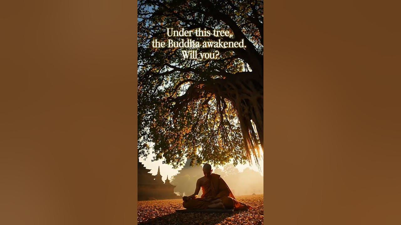 🌳 Meditation Under the Bodhi Tree | Awaken Your Inner Buddha 🕉️