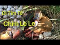 Đi tìm tổ chim Le Le|cách thu hoạch trứng chim Le Le