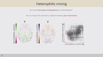 OHBM 2024 | Oral Session | Vincent Bazinet |  Assortative mixing in micro-architecturally annotate…