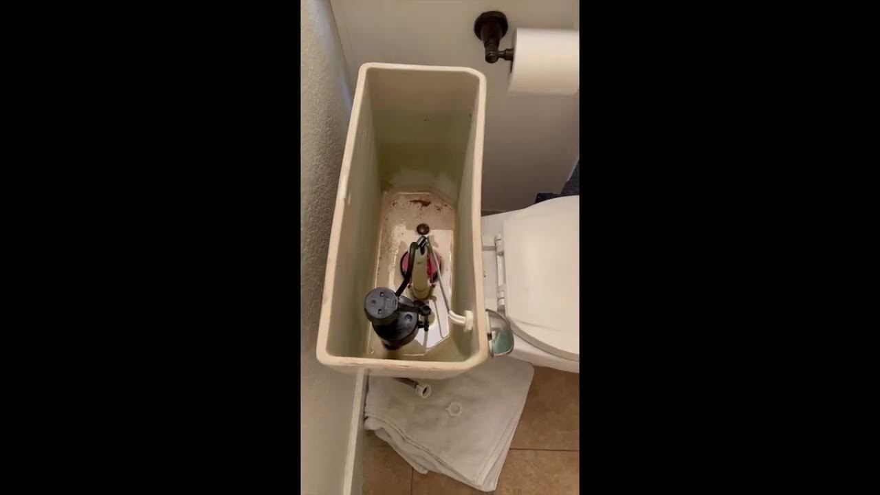 Replace Toilet Fill Valve, Flapper, and Water Supply Line YouTube