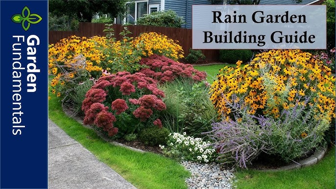 How Do I Build a Rain Garden? 