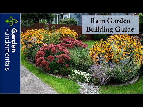 Build a Rain Garden ☔️🌊❄️ Step by Step Instructions that Makes it Easy 