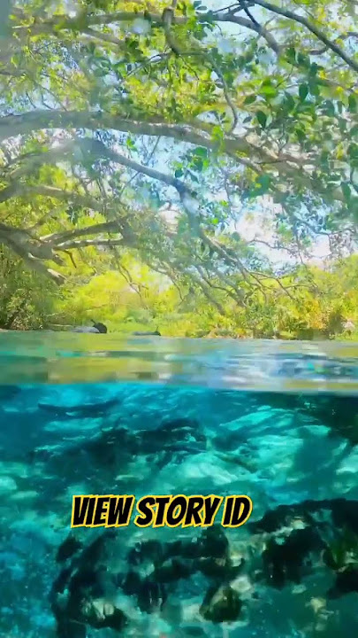 Sungai Paling Jernih Yang Jarang Orang Tau || #shorts #airbening #sungai