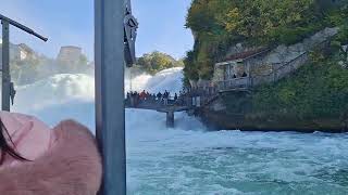 Boat trip at Rheinfalls 