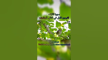 سورة الكهف اجمل صوت مع صوت العصافير Kehf Suresi Kur'an-ı Kerim