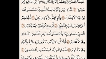سوره القلم بصوت الشيخ ماهر المعيقلي من 43 الى 52