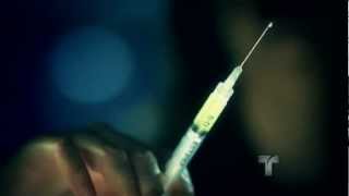 El Rostro De La Venganza Llegada De Marlene Favela