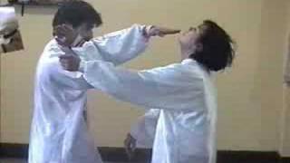 Yin Baguazhang Palma Que Aplasta