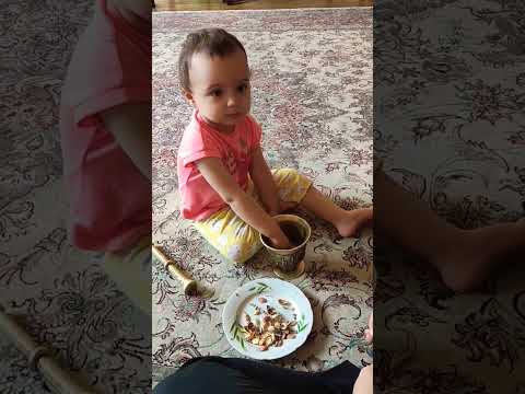 بشکن بشکنه بچه بامزه پسته بادام      